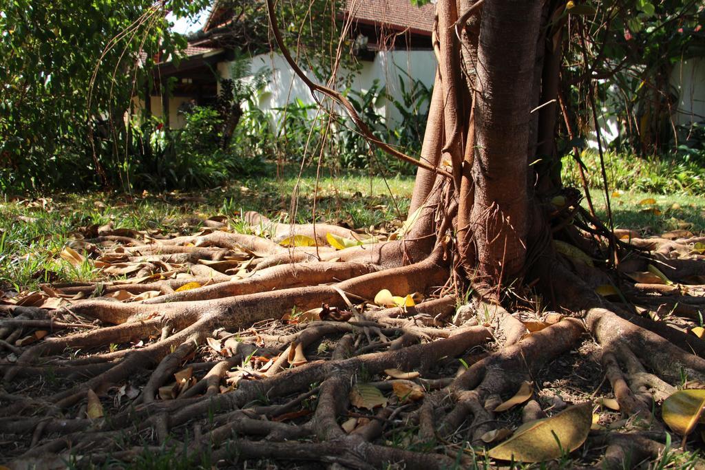 Terres Rouges Lodge Banlung Esterno foto